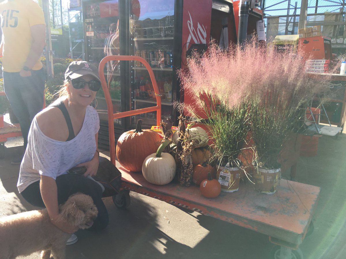 Beautiful perennials grasses and pumpkins provided for a great day of shopping at HD732 <a href="/ToddDrew/">Todd Drew</a> <a href="/mjlojewski/">Michelle Lojewski</a> <a href="/Edward_Shelley/">Ed Shelley</a> <a href="/DyerEric18/">Eric Dyer</a> <a href="/SteveJonesPPS/">Steve Jones</a> @PPSinHD