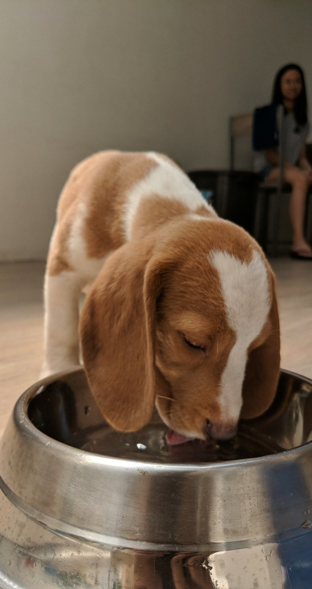 teckhweechai's tweet photo. Welcome to the family, 🥜 https://t.co/JPdIpy6tTo