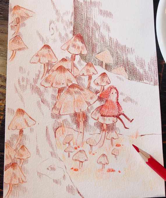 In the tiny mushroom forest ?? 