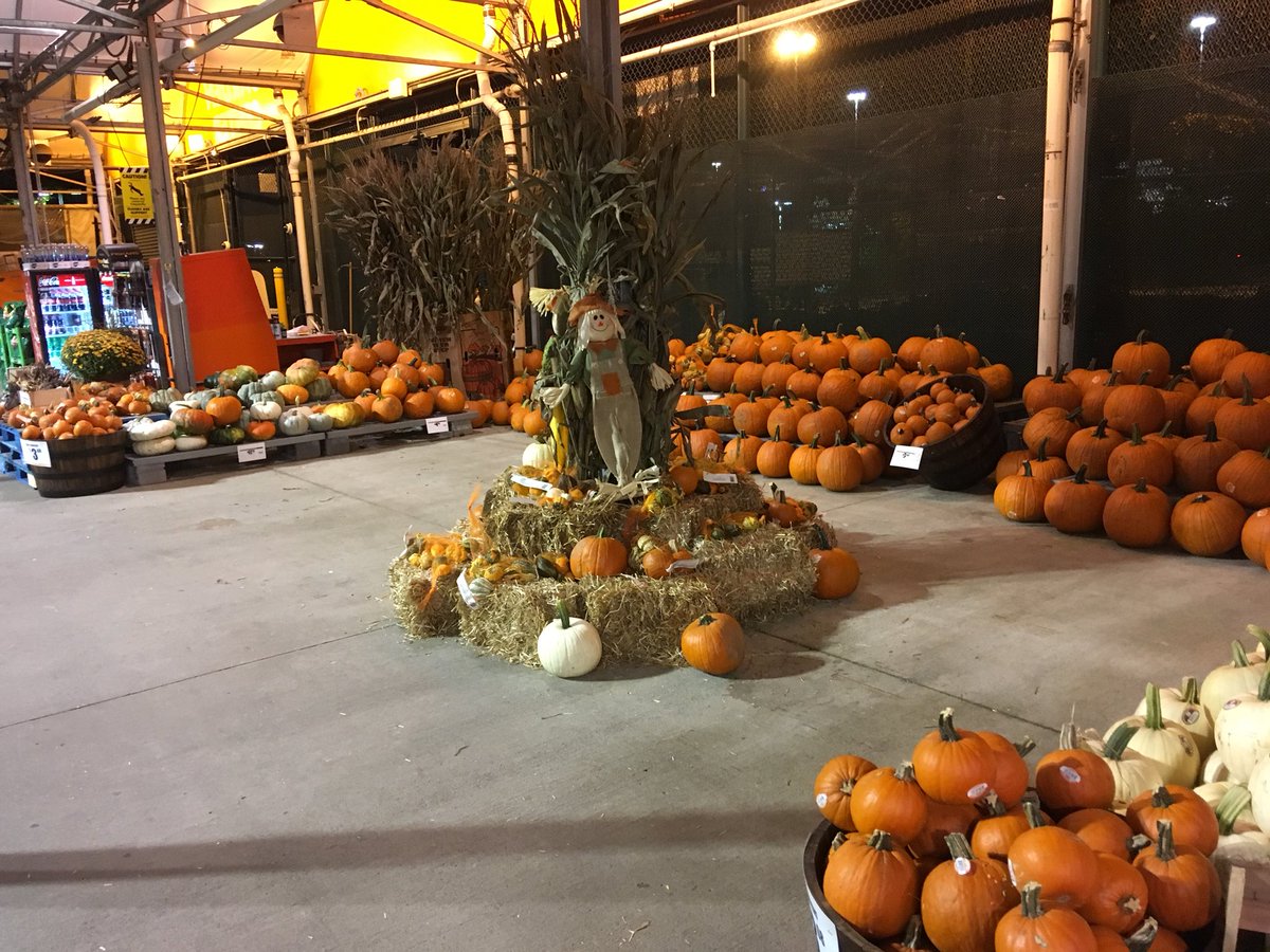 🎃HD732 customers were enjoying our harvest display and loading up on pumpkins and mums <a href="/ToddDrew/">Todd Drew</a> <a href="/mjlojewski/">Michelle Lojewski</a> <a href="/Edward_Shelley/">Ed Shelley</a> <a href="/DyerEric18/">Eric Dyer</a> <a href="/SteveJonesPPS/">Steve Jones</a>