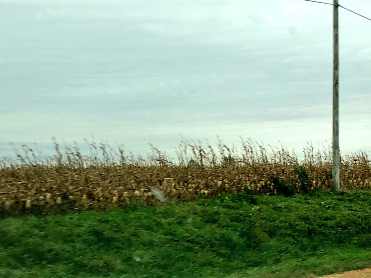 BaumanAndy's tweet photo. Went to a wedding in Dixon, Illinois today. Needless to say โBecks Choicesโ was the wrong choice! #flatcorn๐ฌ https://t.co/95PKkHJOkC
