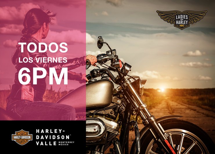 hd_valle's tweet photo. ya casi es viernes Ladies preparen su Harley® y prendan motores. #LadiesHog https://t.co/nyAMMtAPGv