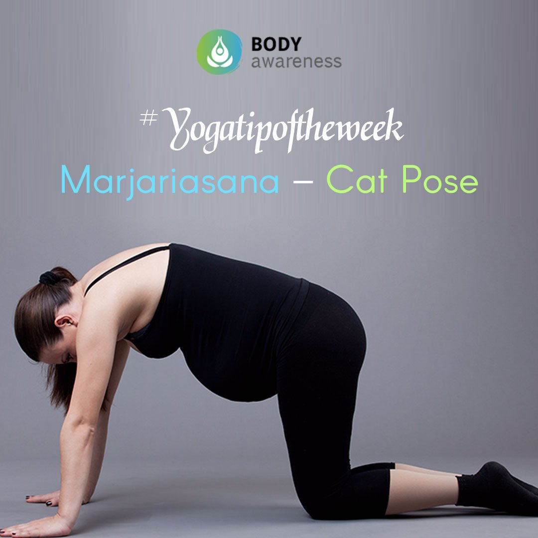 AwarenessBody's tweet image. Vajrasana yoga Pose (Diamond pose)
#yogapose #prenatalyoga #adultyoga #breathe #yoga #meditation #mindfulness #fitness #BodyAwarenessForLife #aucklandyoga