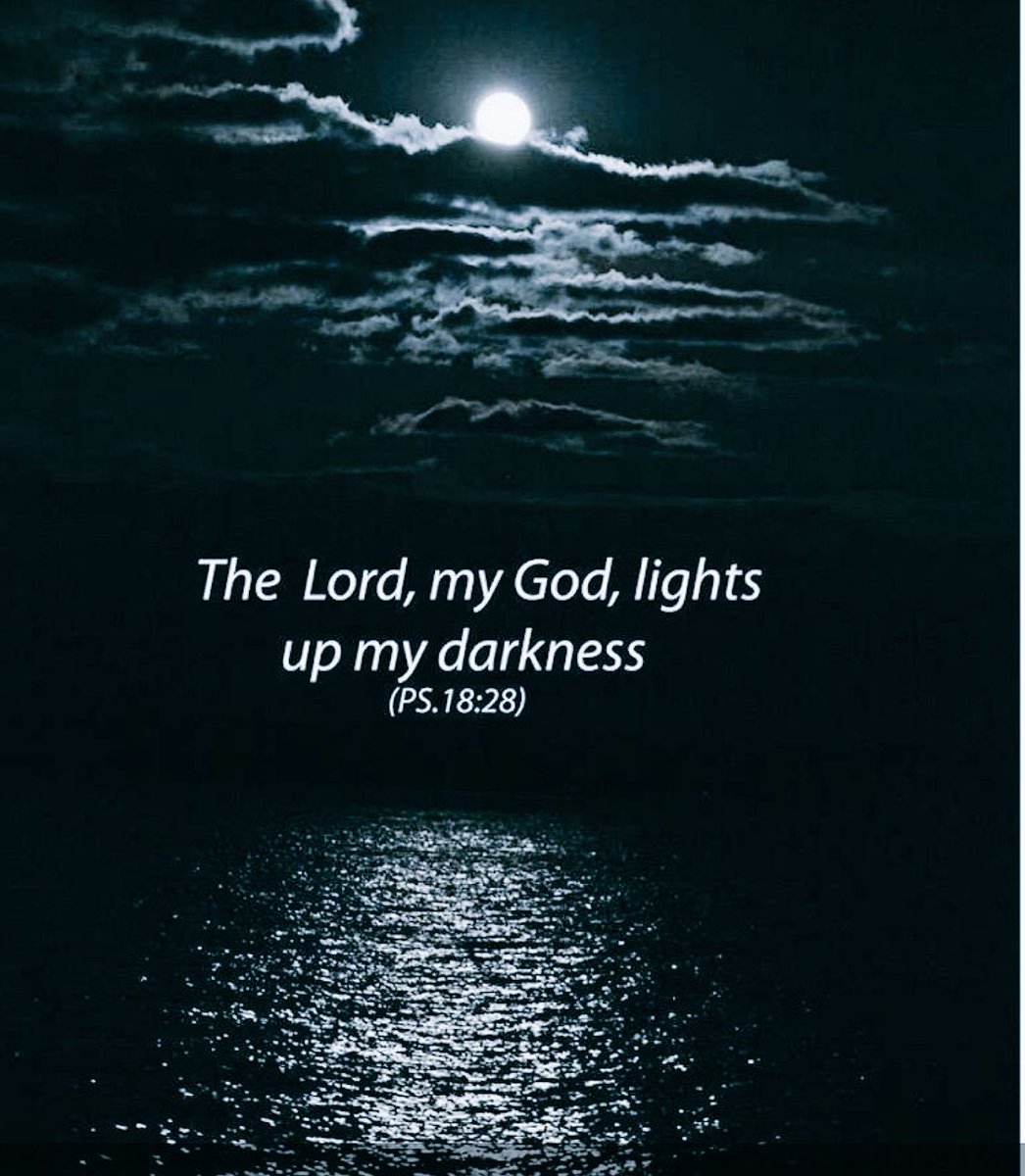 For You will light my lamp; The Lord my God will enlighten my darkness....As for God, His way is perfect; The word of the Lord is proven; He is a shield to all who trust in Him. Psalms 18:28-30