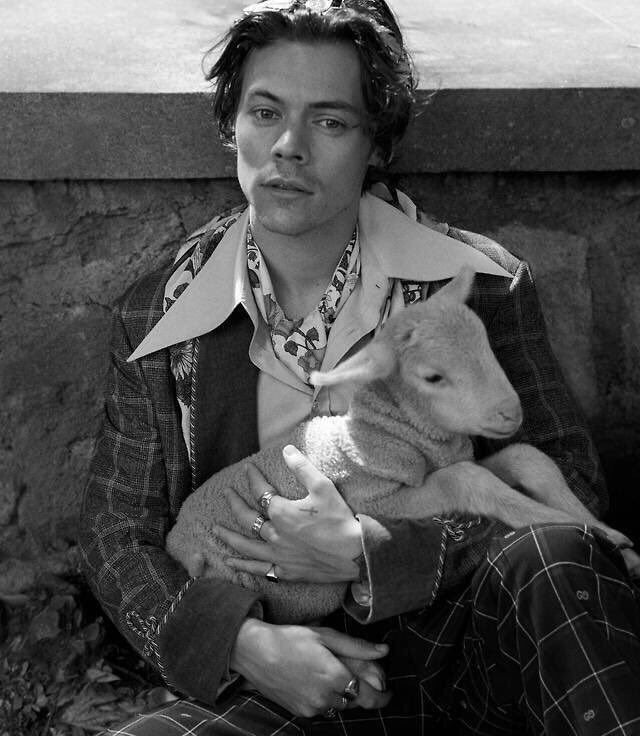 best harry pics (@hightpics) on Twitter photo 