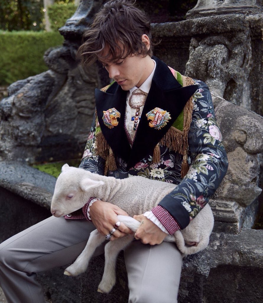 best harry pics (@hightpics) on Twitter photo 