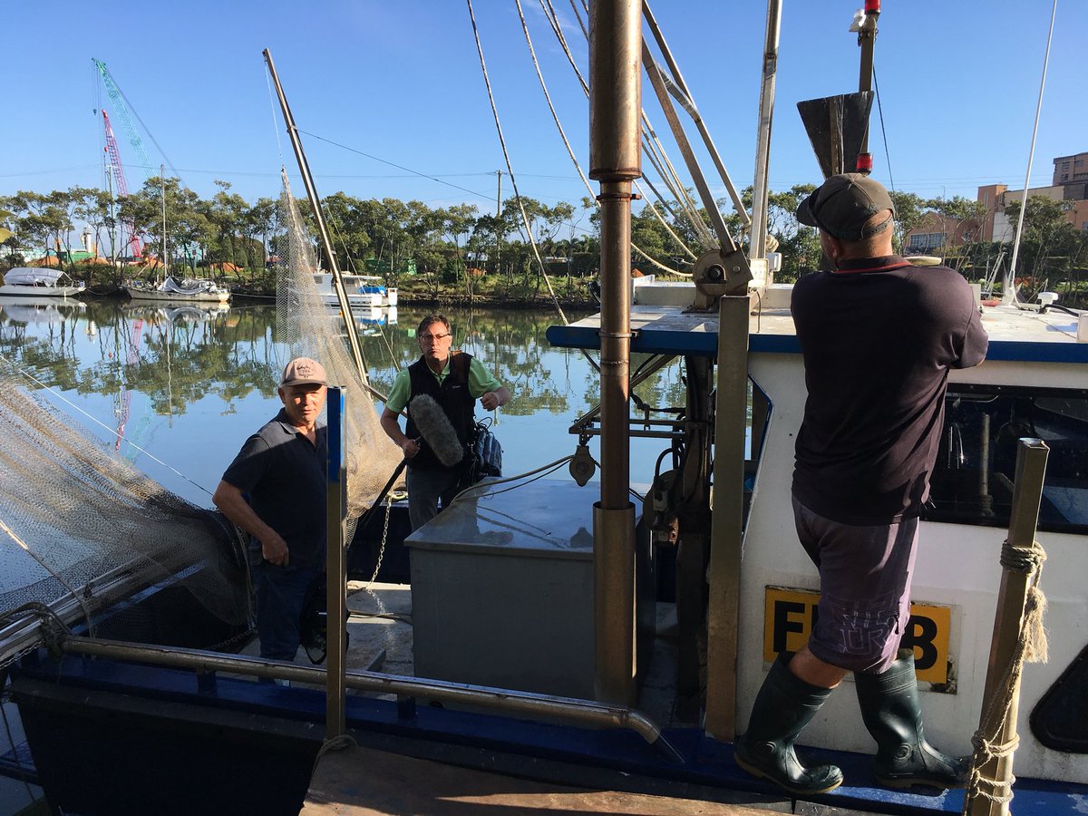 FarOutQld's tweet photo. The bait on the end of your hook may not be as easy to get as you think. Meet the forgotten victims of #whitespot disease outbreak in #MoretonBay on today’s #ABC #Landline #noonthirty #fishbytes https://t.co/L18bmLLA7I
