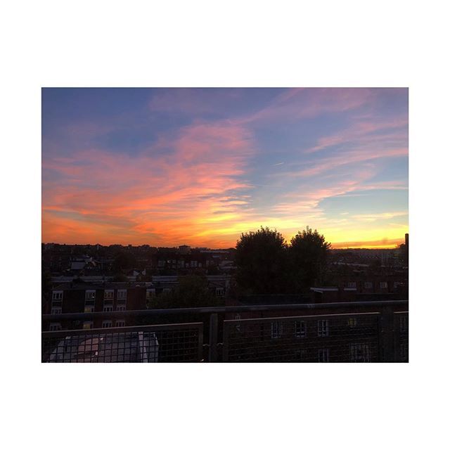themakingoflola's tweet photo. Autumn colours 🍁🍂 #sunset_itis 
______________________________

#autumn #autumn🍁 #London #skyline #horizon #sunset #sunset_pics #hearttree #sun #gradient #september #light #nature https://t.co/dkVFEaZvNJ https://t.co/E3AXdY0ZUG