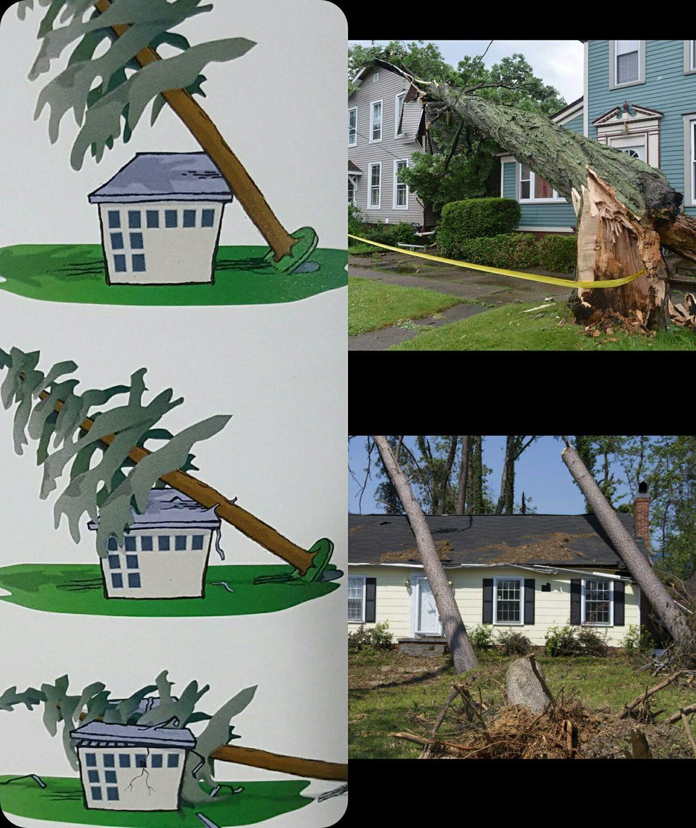 4seasonstreeser's tweet photo. A falling tree will gain speed as it falls. In general, the greater the distance from the tree to the target, the greater the force that the tree will have at the point of impact.

#uprooted #stormdamage #uprootedtree #storm #knowledgeispower #4sts 
#housedamage #actofGod #tree https://t.co/Vbh1Gym2tE