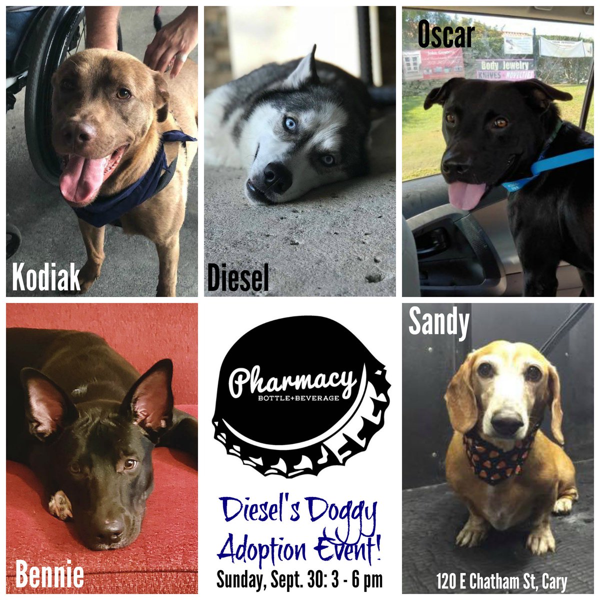 Cause for Paws of NC tweet media