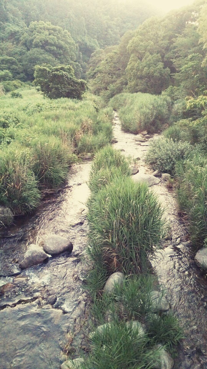 HiganMirage's tweet photo. Nature is amazing... https://t.co/TI8jh1bKkt