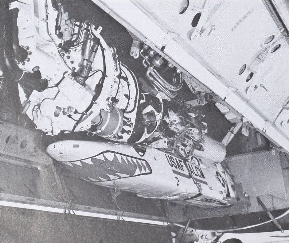 DoTPBoYV4AEGPLt.jpg:large