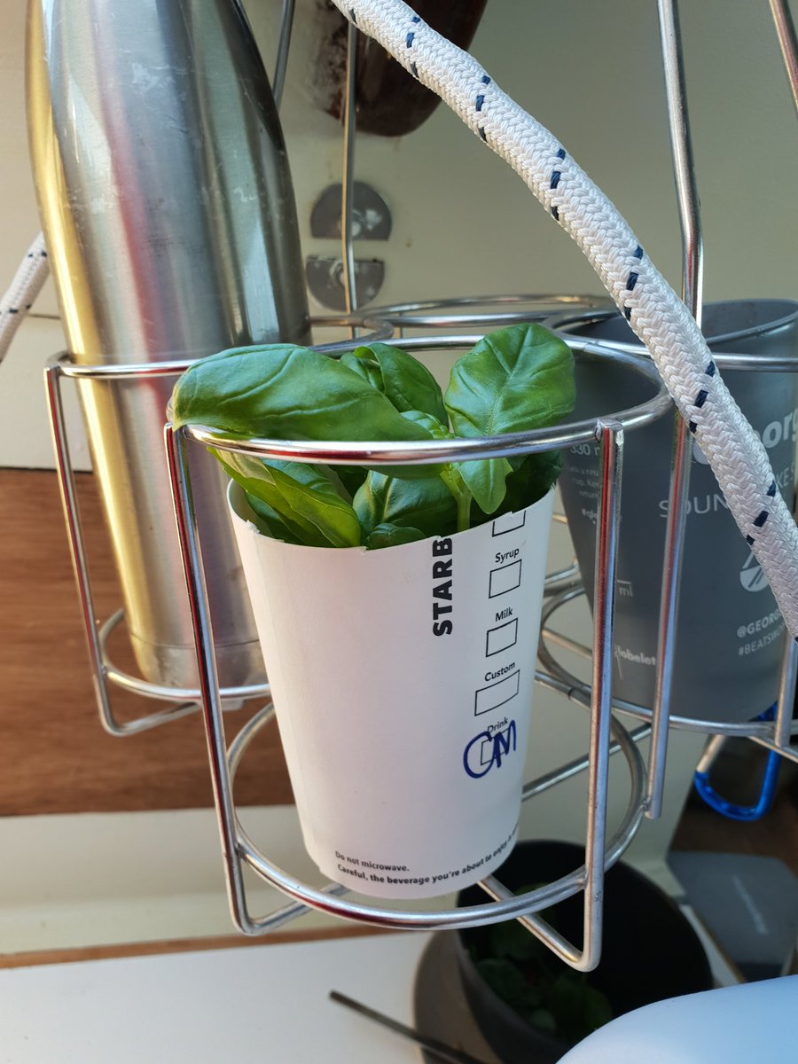 EntropyBoat's tweet image. Basil