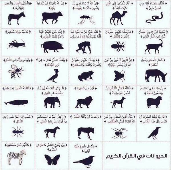 rir_77's tweet photo. بعض ماذكر في القرآن الكريم
 من الحيوانات والحشرات .. https://t.co/dZALMueoga