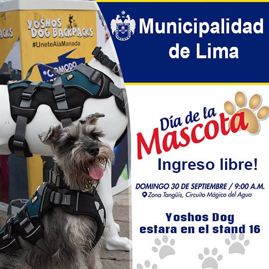 yoshos dog backpacks