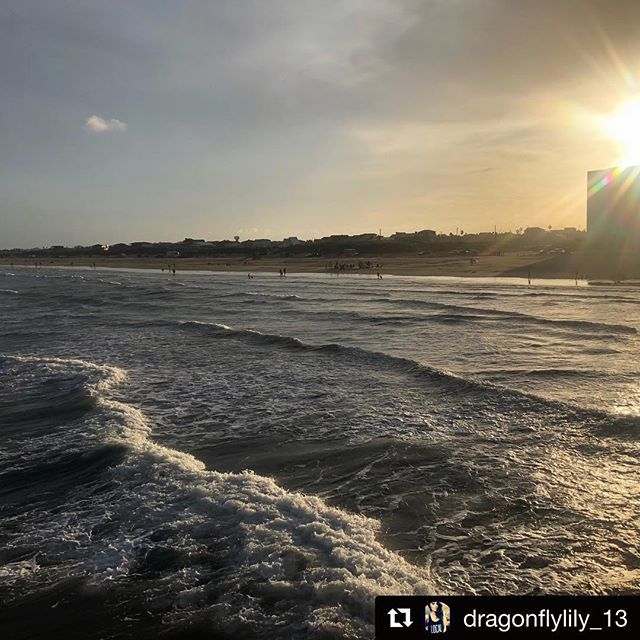 PortAransasTex's tweet photo. “I wish this was my view every day.” — every Port A beach-lover

Type YES if you agree. ❤️
.
.
.
📸 @dragonflylily_13 https://t.co/ciMjpSw5ac https://t.co/lFEx0DO8ar