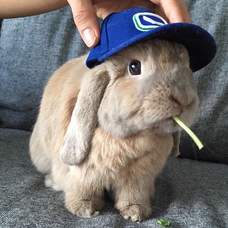 I’m ready for the game <a href="/Canucks/">Vancouver Canucks</a> #Canucks