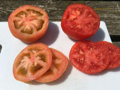 Alejandromairan's tweet photo. Tomate de súper | Tomate de cosecha https://t.co/otKjebYbRq
