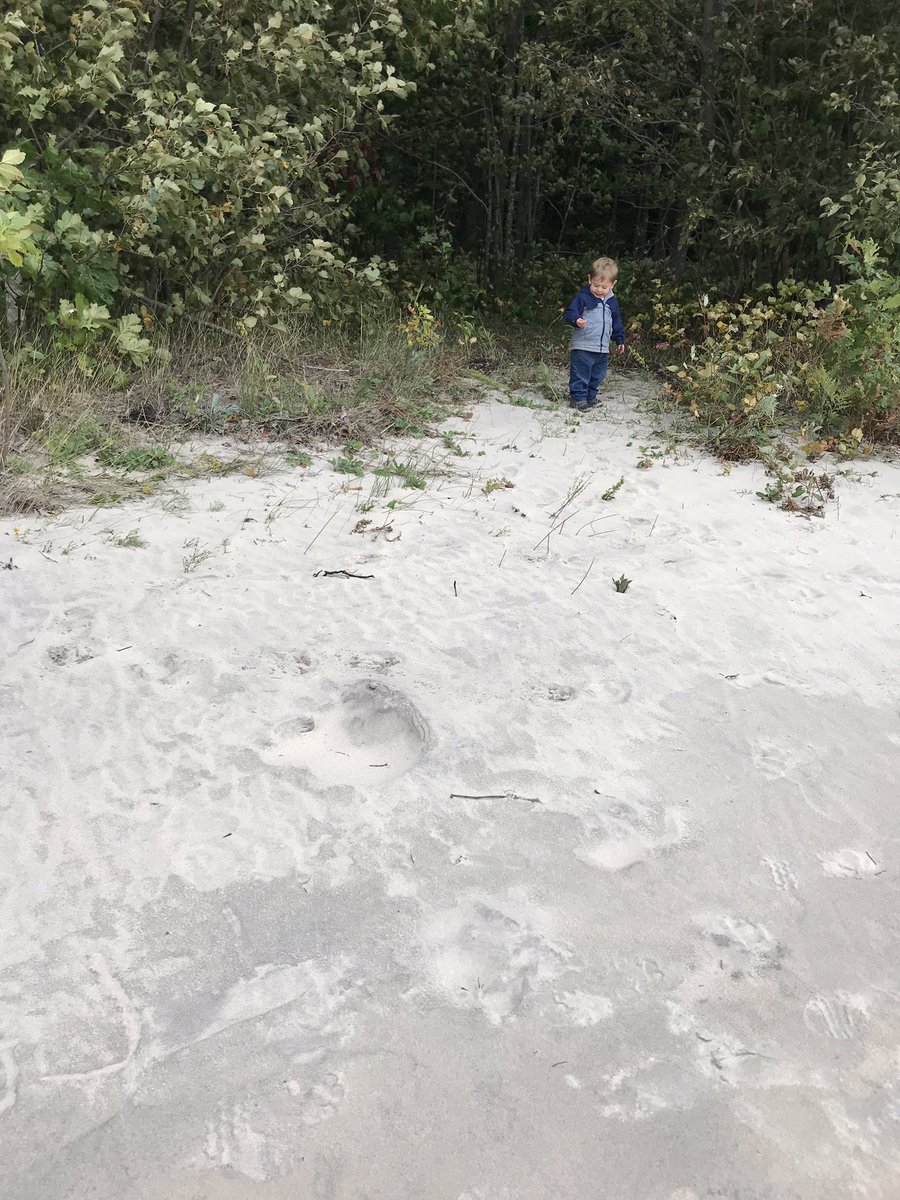 mikaela_lefaive's tweet photo. Lovely visit to Awenda Provincial Park today #awenda #getoutside https://t.co/qRYtDfWAPN