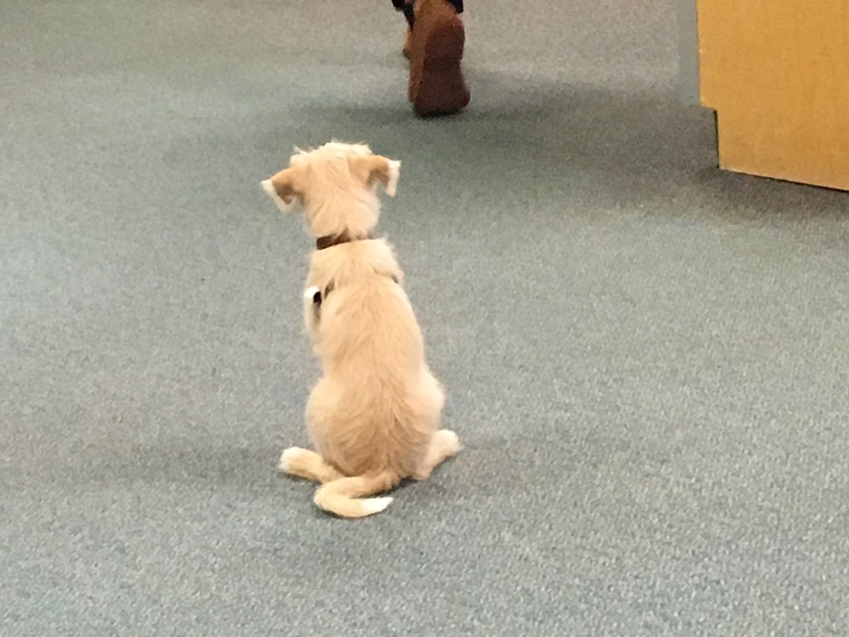 Enverlibrary's tweet photo. Our youngest #DesignCampBC participant today @teachertong https://t.co/sIdxJJziYV