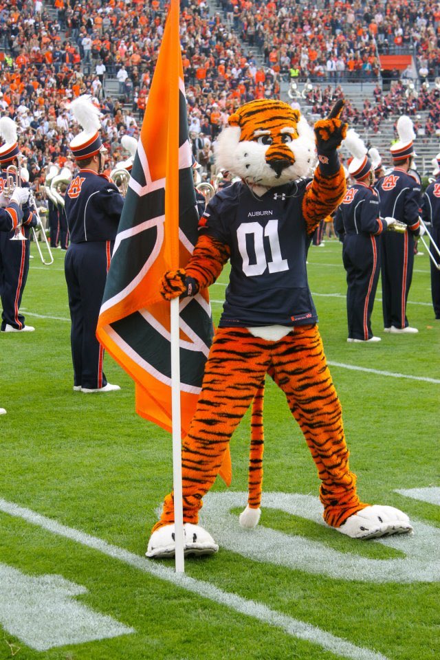 BracketBattles1's tweet photo. BEST COLLEGE MASCOT
~ Sweet 16 ~

RT - Auburn
Like - Florida

#BracketBattles https://t.co/zjotCC9Qad
