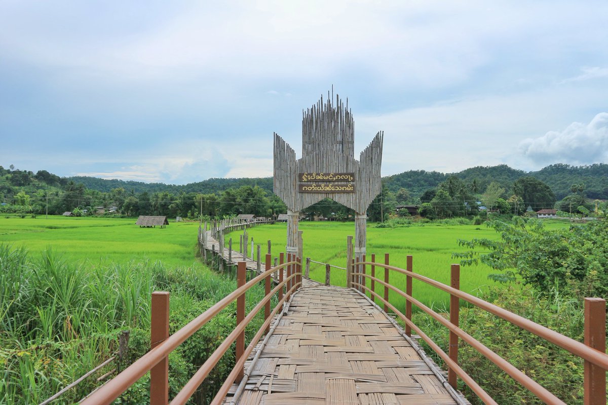 yimyougotmelove's tweet photo. ⛅🍃🌿🌾อรุณสวัสดิ์ยามเช้า#ชิลล์ๆวันพักผ่อน...เห็นต้นข้าวเขียวๆแล้วสดชื่นนนนดีจัง#สะพานซูตองเป้สะพานไม้แห่งศรัทธาเมืองสามหมอก#หมียิ้มชวนเที่ยว
#แม่ฮ่องสอน#เที่ยวเก๋ไก๋สไตล์ดอยสเตอร์ 😉 https://t.co/5jrHQPjokd