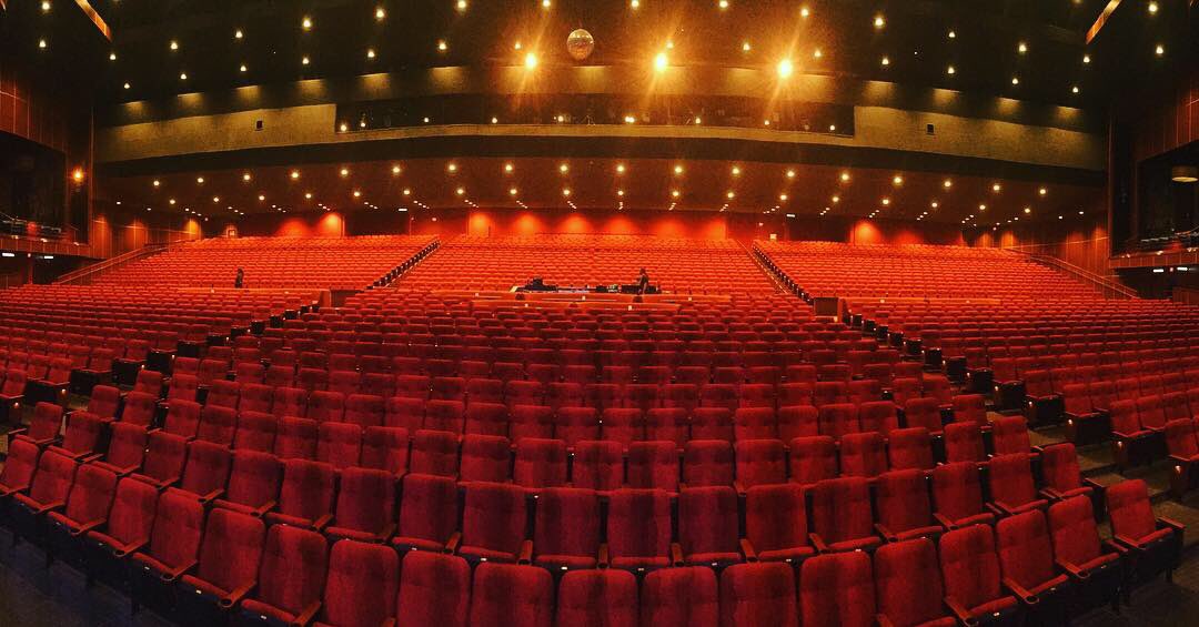 ZP Theart tweet media