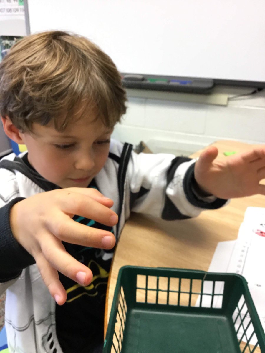 ChipGrover's tweet photo. Mrs. Grover’s first graders played math games to figure out how to use number lines and number grids as math tools.  #ncecsd @NorthCreekElem #CSDcriticalthinking https://t.co/3UeMyS3p3D