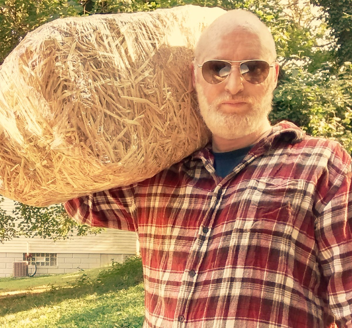 cammillerfilms's tweet photo. I am not a farmer, but I play one on Twitter. #HayYou https://t.co/DktWqNURi3