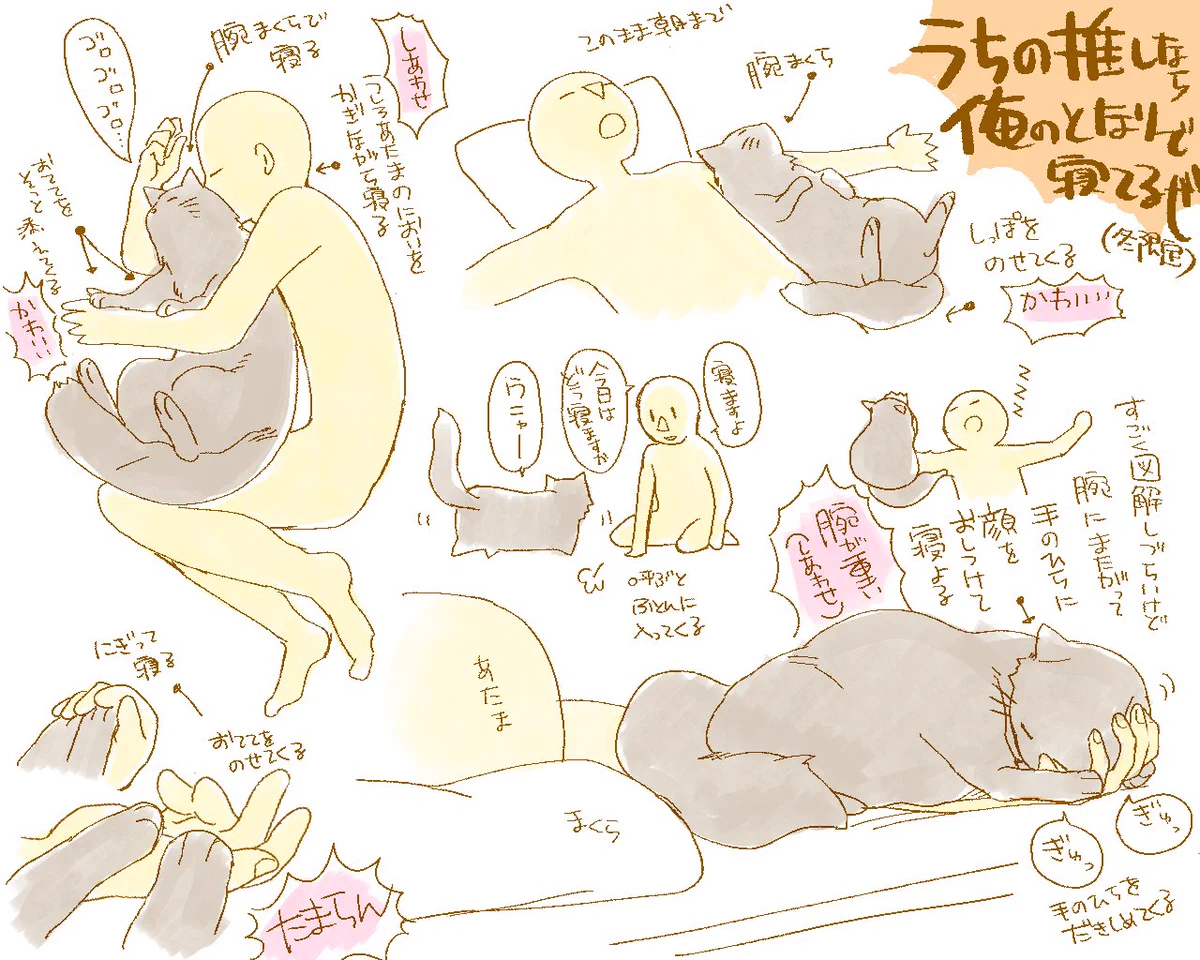 羨ましすぎる・・・一緒に寝てくれる猫がいる生活レポ！！（冬限定)