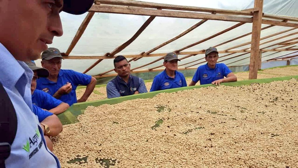 ElioPk18's tweet photo. @AsambleaEcuador hace un reconocimiento a los agricultores de #Palanda y #Chinchipe, quienes producen el mejor café del #Ecuador, reconocemos a las asociaciones #Apecap y #Acrim, en el marco de la feria #BracamorosCoffee2018. #ElioEnLaAsamblea (Fotos: Prefectura @zamorachinchipz) https://t.co/80F14tnpSw