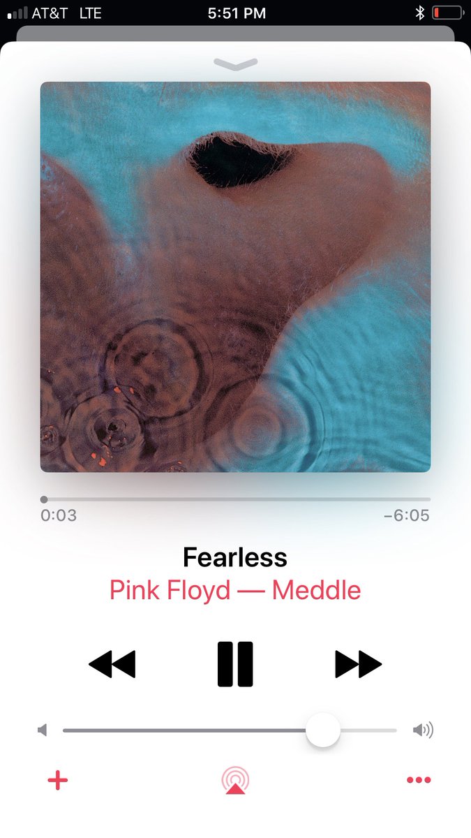 tomfreund's tweet photo. Is it weird that my favorite work out album is “Meddle” by Pink Floyd ?! 😳 “like a good tycoon”🎩 #fearless #echoes #seamus #survivinginLA #blessings #workout 😂 #PinkFloyd https://t.co/PuMypSq4mu