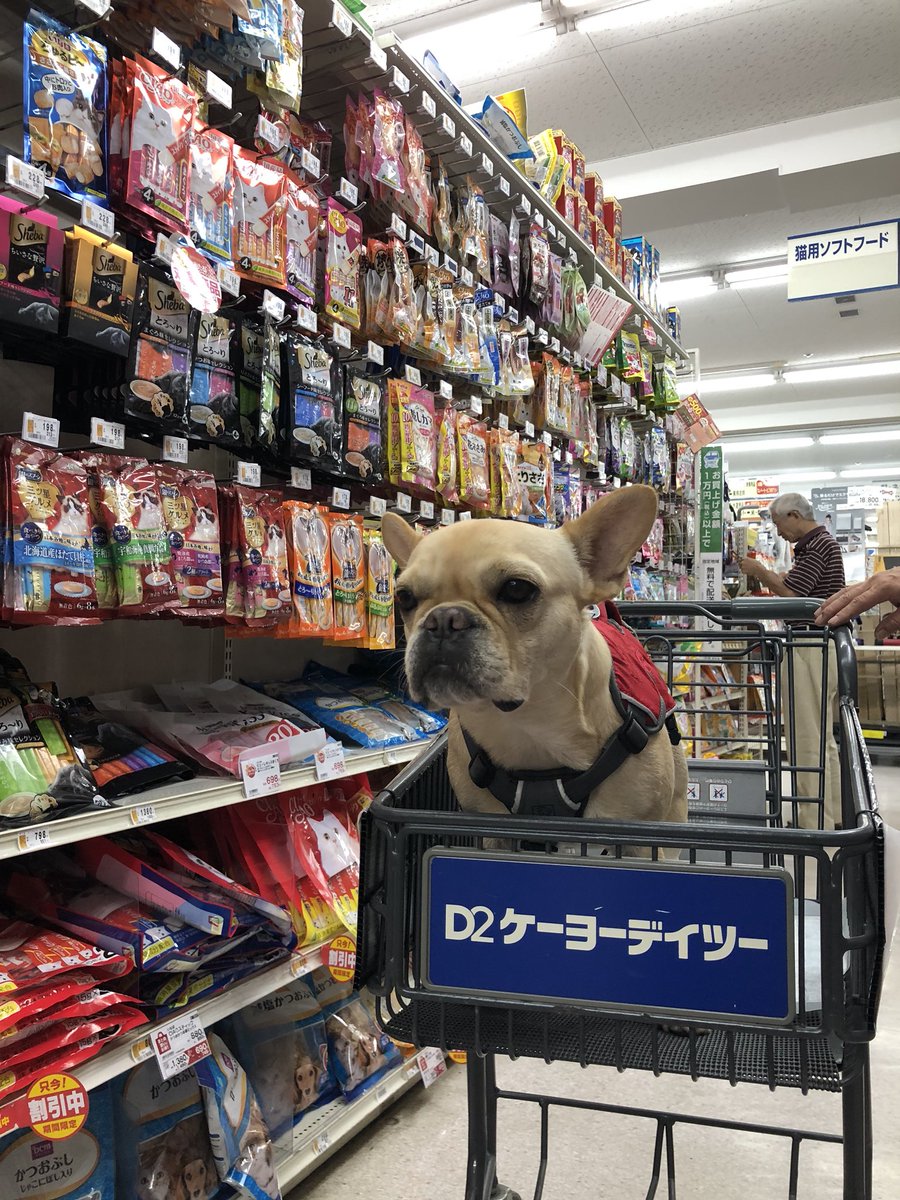 ケーヨーデーツー ケーヨーデーツー