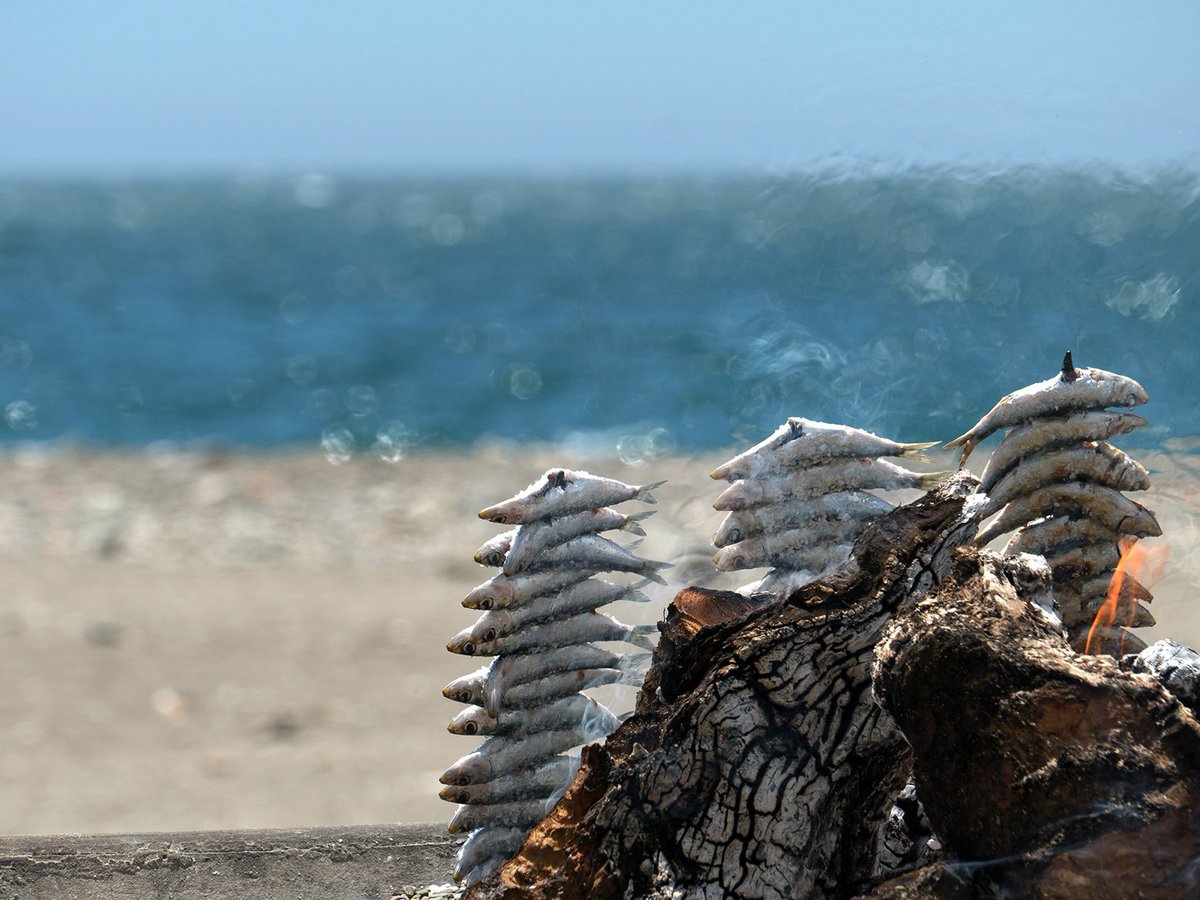 "Delicias del mar" de Fernando Arriazu Gomar. Especial mención en el I Concurso de fotografía "La moraga y el espeto de sardina" <a href="/MarbellaActiva/">Marbella Activa</a> <a href="/LaCartaMalacita/">LaCartaMalacitana</a>  <a href="/SaboraMalaga/">Sabor a Málaga</a> <a href="/Ayto_Marbella/">Ayto. Marbella</a>