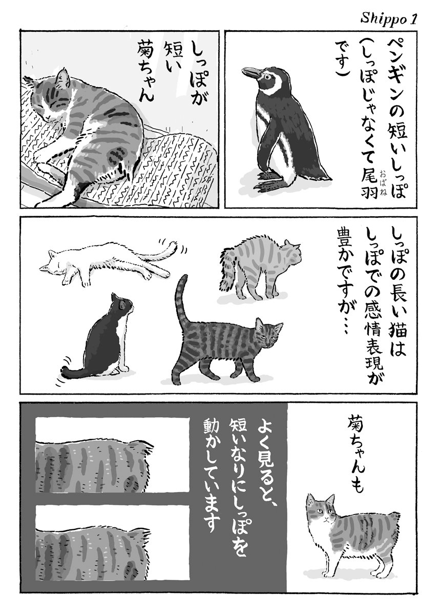 2ページ猫漫画「しっぽのこと」 