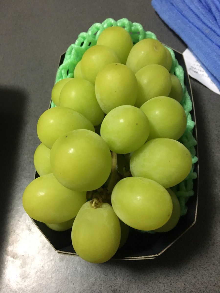 御手洗かりん Twitter Search Twitter