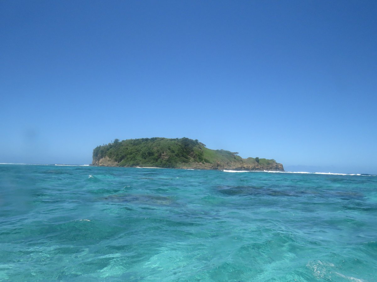 samoaswim's tweet photo. That island!! #5islands what a swim #samoaswims #samoaevents gives you nightmares https://t.co/IUxViYabvj