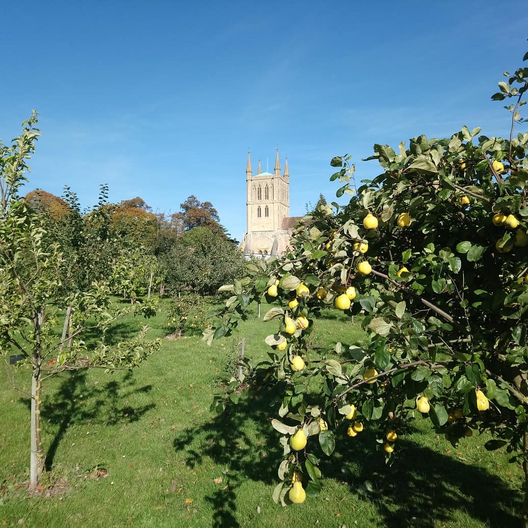 Andrew Lawson tweet media