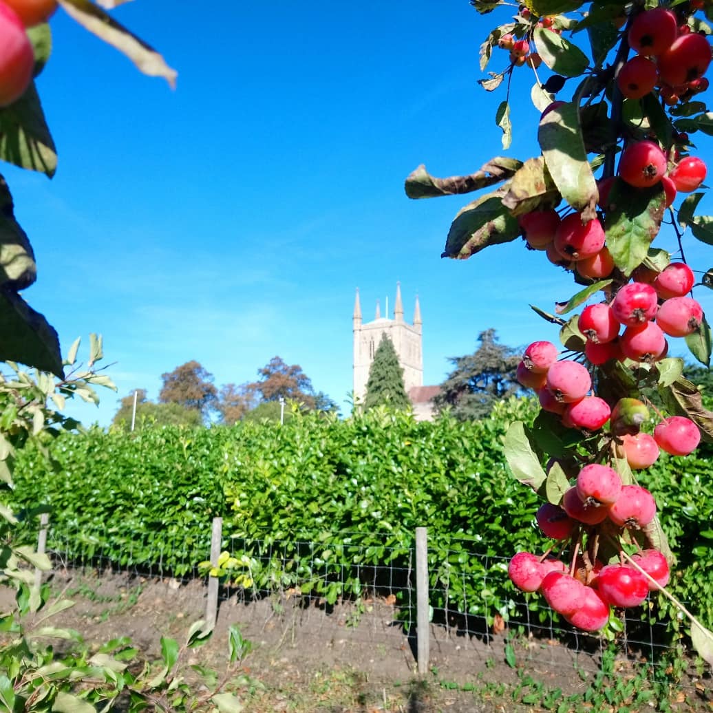 Andrew Lawson tweet media