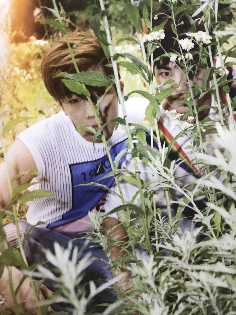 hamitsjong's tweet photo. เวลาเครียดๆก็ให้ดูรูปเซ็ตนี้ จะได้รู้ว่าโลกนี้ยังมีอะไรที่เราไม่เข้าใจอีกเยอะ ปลงๆซะบ้าง https://t.co/cruxG7yNkm