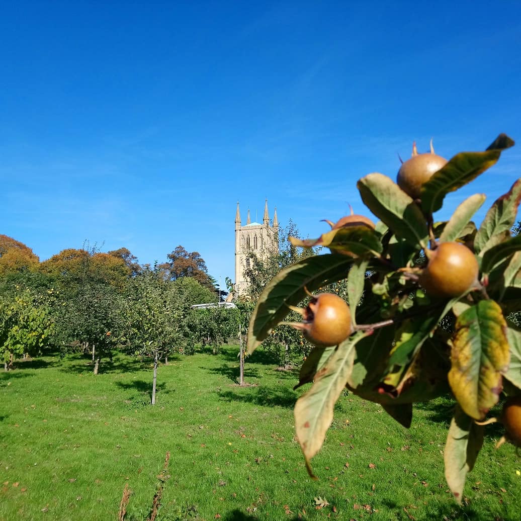 Andrew Lawson tweet media