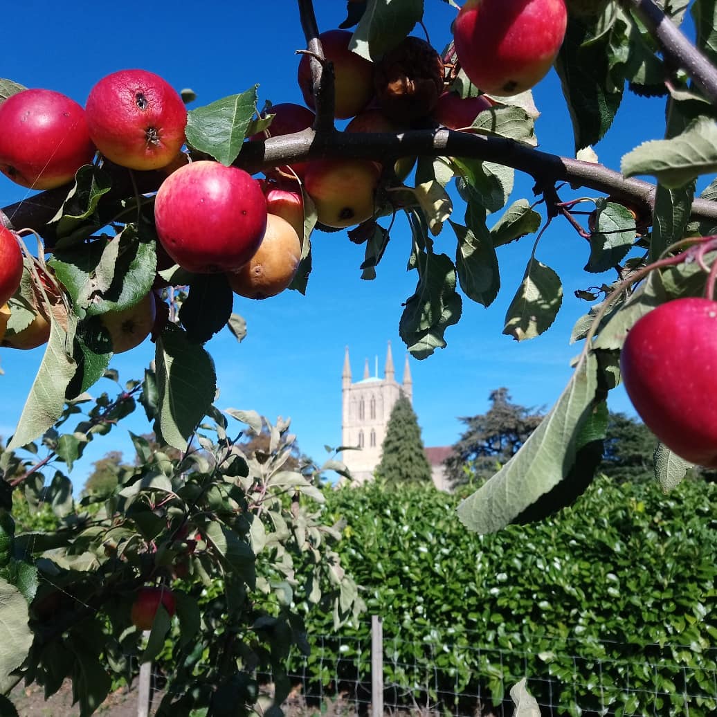 Andrew Lawson tweet media