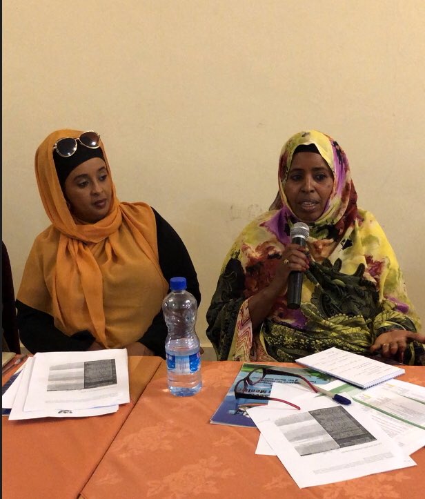 Anne_Kobaek's tweet photo. ESCOM meeting today: Central Bank presenting plans to increase #accesstofinance #womenentrepreneurs questioning the cost of registration of small business. Great discussions on ways to #enablingbusinessenvironment in #Somaliland https://t.co/QtZymyFr4k