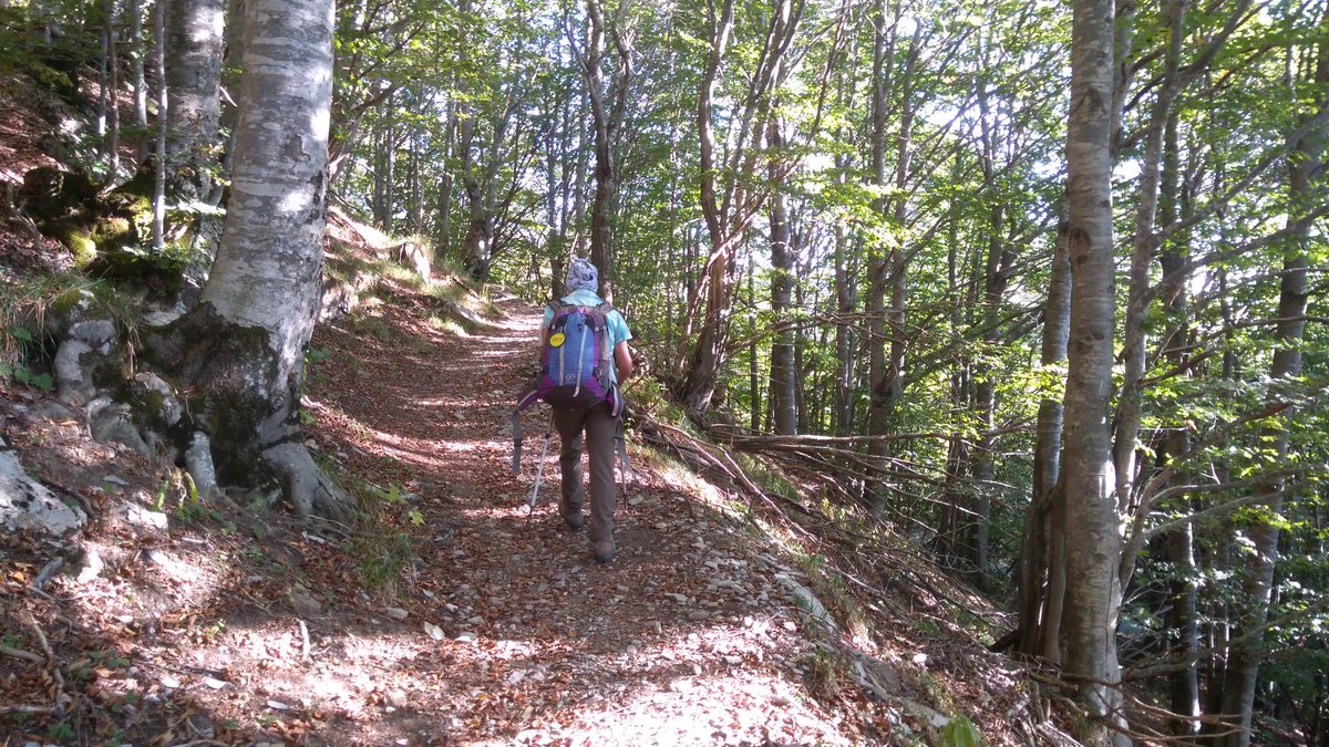 robertocosta_ge's tweet photo. Oggi al @RifuParcoAntola per la #Giornatasentieriliguria #liguriantrailsday #premioITAS "Parlare dei monti sui monti" https://t.co/GpDeedO9m4