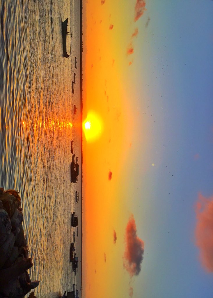 mahzoumy's tweet photo. Lamurini 🌞 https://t.co/wd674HL8KF