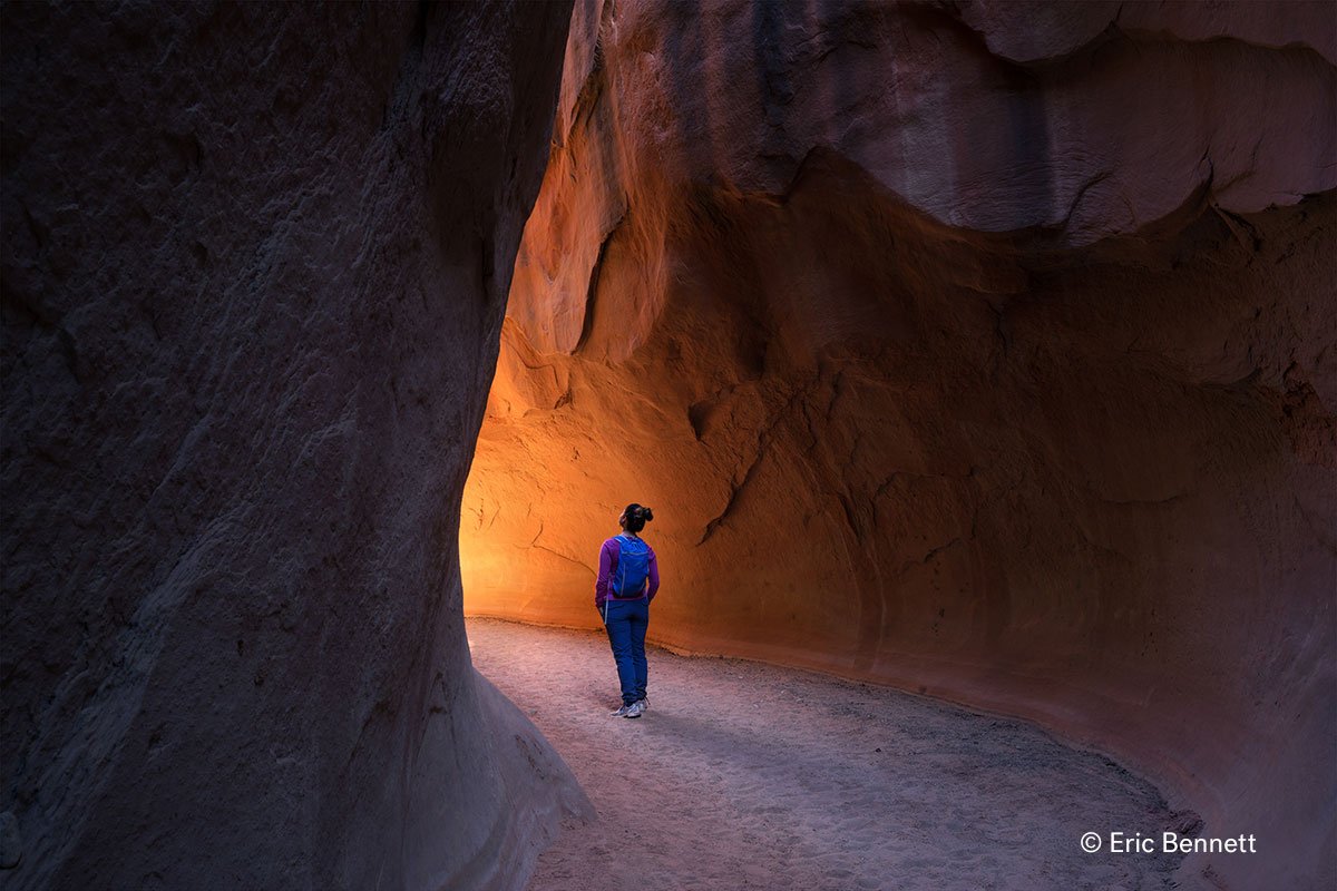 The Wilderness Society 🌳 tweet media