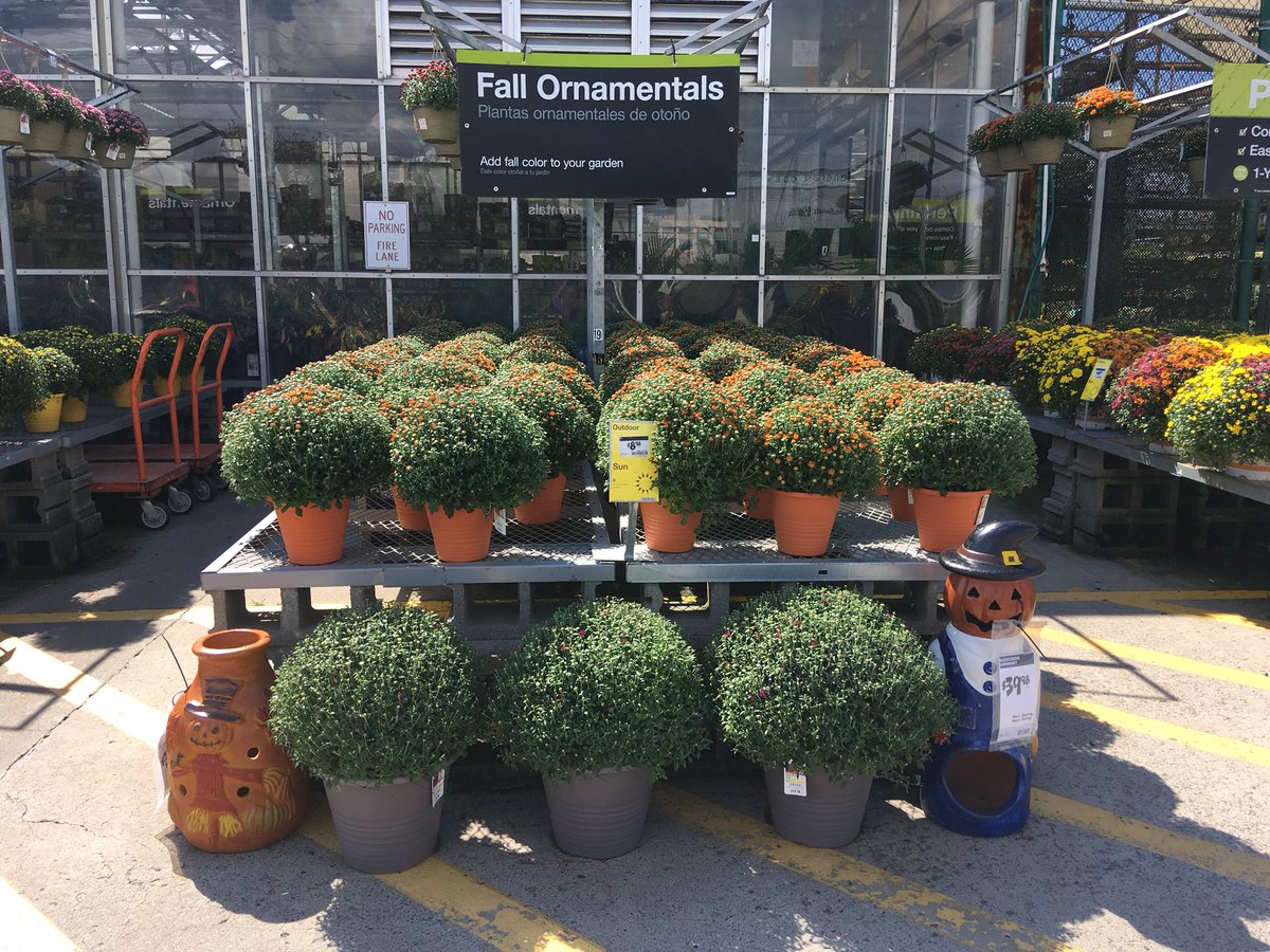 Great product, great associates, great customers at HD732. Special call out to Annie , Julie, and AJ  for all their help and support <a href="/ToddDrew/">Todd Drew</a> <a href="/Edward_Shelley/">Ed Shelley</a> <a href="/mjlojewski/">Michelle Lojewski</a> @PPSinHD <a href="/SteveJonesPPS/">Steve Jones</a> <a href="/DyerEric18/">Eric Dyer</a> @PPSinHD