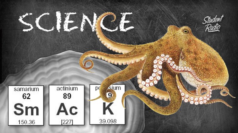 kiri_marker's tweet photo. Me and @jasmin_martino talked about cephalopods, serotonin and fish ear bones on #ScienceSmack this week, check it out 🐟👂🏼 https://t.co/RHE6PTorlF https://t.co/pdBKqdLWtM