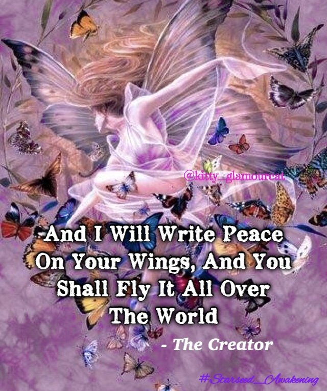 kittyglamourcat's tweet photo. And I Will Write Peace On Your Wings And You Shall Fly It All Over The World 😇

For This And More Great Content, Please Visit My Instagram🦋🌏
https://t.co/mK1CC1dDgN …

#magic #alchemy #esoteric #peace #soul #grace #butterflies #angels #healtheworld #awakening #oraphim https://t.co/SnGhE7dYzn