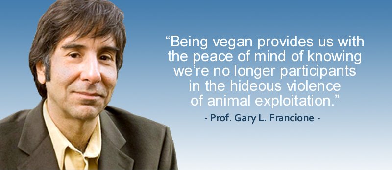 veganfuture's tweet photo. 'Being vegan provides us with the peace of mind of knowing we're no longer participants in the hideous violence of animal exploitation' Prof. Gary L. Francione https://t.co/7t28gralpF